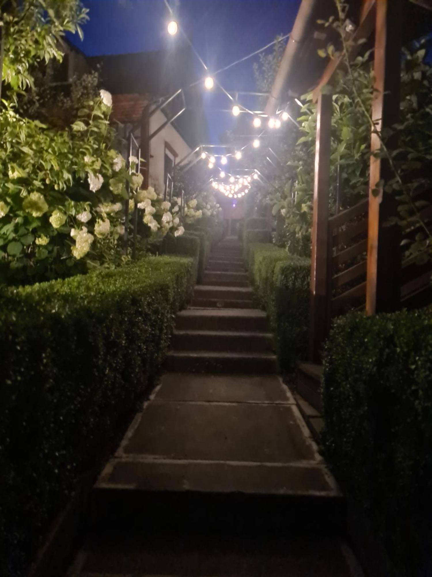 فندق Casa Edy سوفاتا المظهر الخارجي الصورة